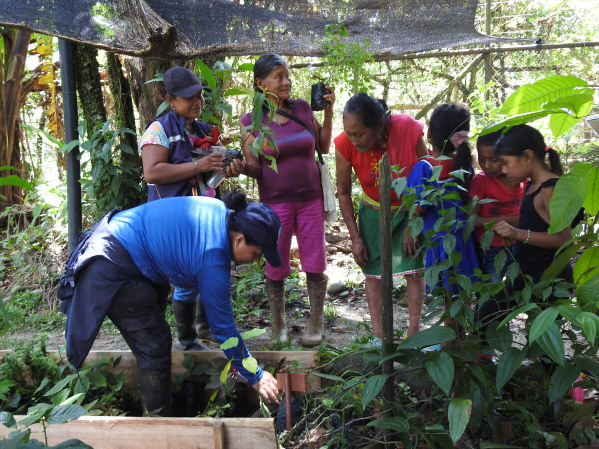 Mujeres sabedoras cofán.